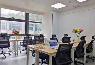 网络网络推广优势